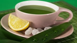 Как приготовить ЧАЙ из СЕЛЬДЕРЕЯ, чтобы похудеть? Как приготовить ЧАЙ из СЕЛЬДЕРЕЯ, чтобы похудеть?