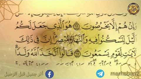 القرآن الكريم(الجزء الحادي عشر ) صوت الشيخ علي جابر ورة يونس وهود من الأية(٢٨)إلى الأية(٥)
