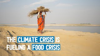 The climate crisis is fueling a food crisis. Here’s why.