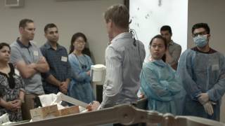 Posterior Quadrant Dentistry 2016 screenshot 5