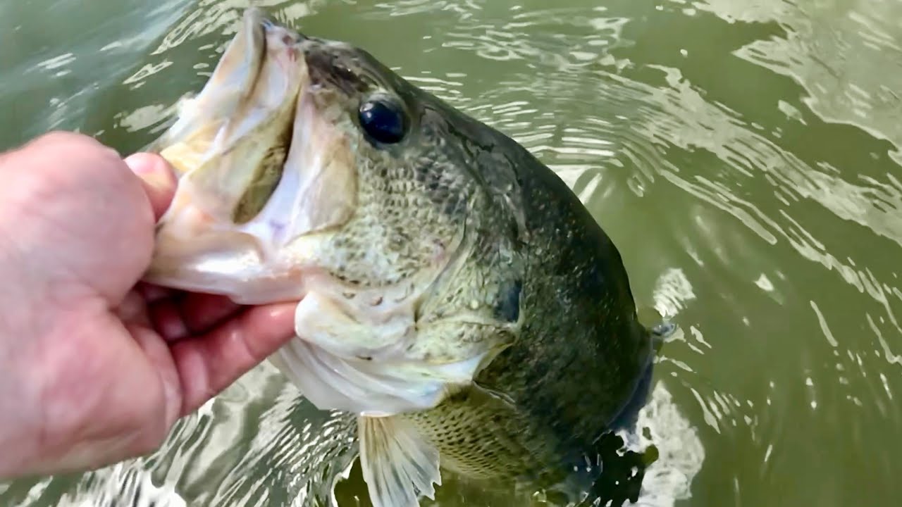 Taking my Girlfriend Bass Fishing for the FIRST TIME!