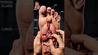 Have you tried foot reflexology #memes #trending #funny #news #science