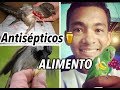 PREPARACION DE ALIMENTOS - CURAS - CONSEJOS PARA AVES PICHONES (polluelos)