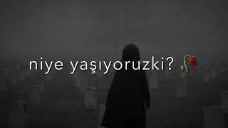 Whatsapp Ucun Maraqli Statuslar, Qəmli Video Sounds App 2021 Status Ucun Video,Menali Video