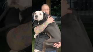 Such A Sweetheart Learn Her Story In The Comments