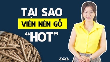 Tại sao viên nén gỗ lại HOT đến thế? |  Phạm Hồng Thắm #xuatnhapkhau