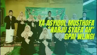 GROUP SHOLAWAT NARJU SYAFAAT GPAI WLINGI