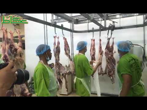 جولة في أحد مسالخ العاصمة المقدسة