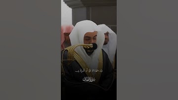 {وَوَصَّيْنَا الْإِنسَانَ بِوَالِدَيْهِ}الوليد الشمسان سورة لقمان