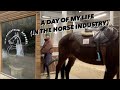 Day in the life in the equestrian industry (Winter 2021)
