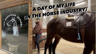 Day in the life in the equestrian industry (Winter 2021)