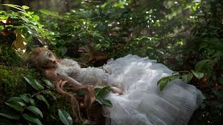 Daydreamer - Enchanted Doll - 4K - Ambient Video - 8 Hour - ASMR screenshot 3