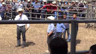 JARIPEO JUEGO CON NINOS