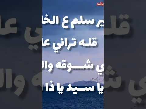 محمد راشد يا طير جديد كلمات سعيد النقبي قريبا وحصريا