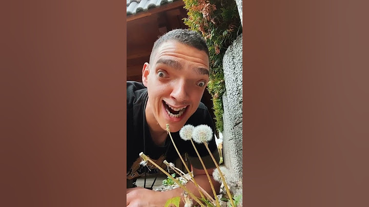 Ich mag Pusteblumen #shorts