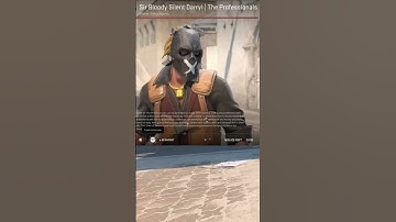 Agents in CS2 Sir Bloody Silent Darryl | The Professionals