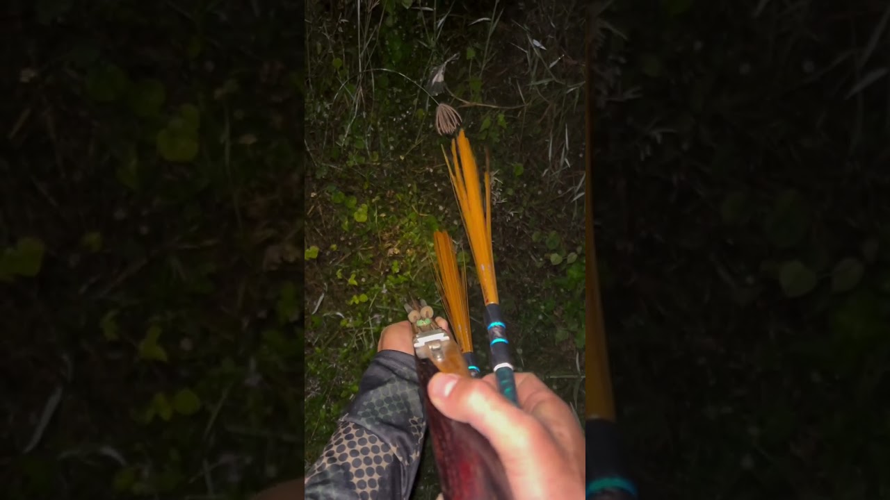 วิธีสั่นตอกแบบถูกวิธี สั่นตอกหาหนู เข้ามาเป็นฝูง🐁🐁🐀🐀