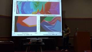 Behringer: Systems Analysis of Diversity within Experimental E. coli populations.