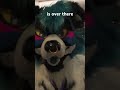 I thought it was my friend | Rigby Things #furry #fursuit #furcon #mff