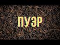 ПУЭР В ЛЕСУ: Зачем я сорвался к реке и сделал САМЫЙ вкусный чай в жизни!