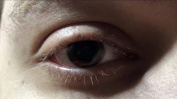 WDKA Home Assignment - Visual Answers