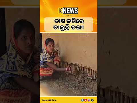 କମିଛି ବନ୍ୟା ପାଣି, ବଢିଛି ଦୁର୍ଦଶା। ଚାନ୍ଦବାଲିର ୧୧ ପଞ୍ଚାୟତ ଏବେ ବି ଜଳବନ୍ଦୀ। Chandbali। Flood