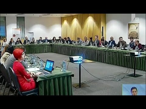 საპრეზიდენტო არჩევნების მონიტორინგი