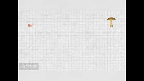 Contoh animasi GLB/GLBB