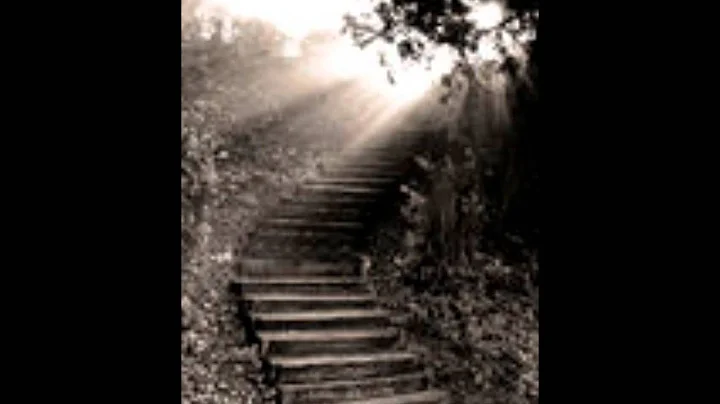 a better place - Tony Vani and Debbie Hoskin
