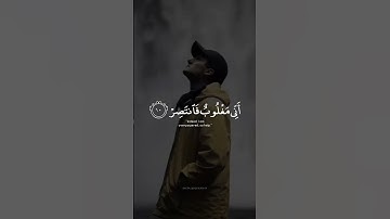 اكتب شي تؤجر عليه 💙 | القارئ اسلام صبحي | قرآن كريم