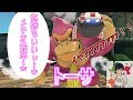 【ゆっくり実況】ゴリラメテオでバッキバキ!?トークとプレイを完璧に両立させる男!!トーサさんとコラボ!【スマブラSP】