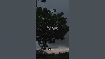 سورة الفتح | محمد رزقا عقيل رمضان #quran #سورة_الفتح #quran_alkarim