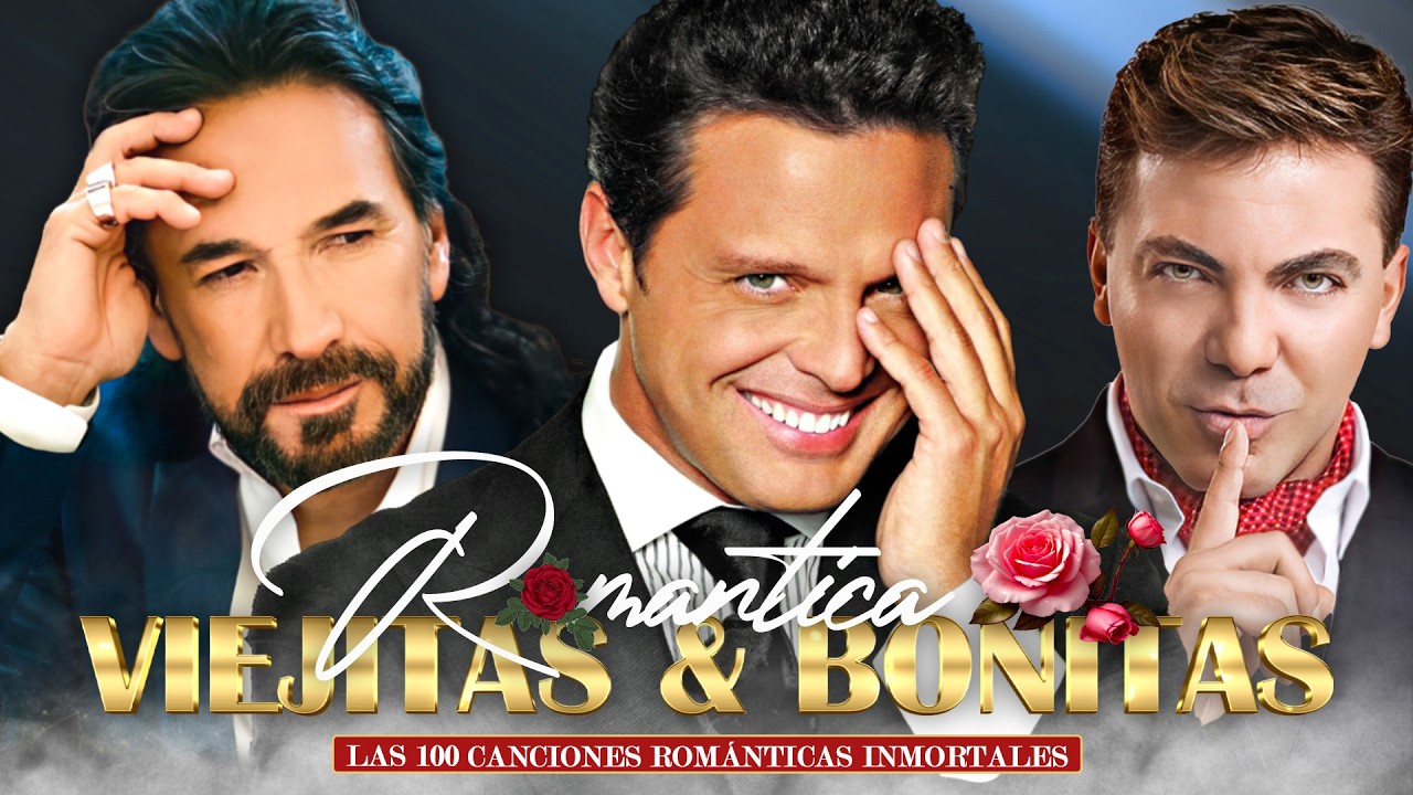 Roberto Carlos, Camilo Sesto, Leo Dan, Julio Iglesias, Jose Luis Perales, Leonardo Favio, Jose jose