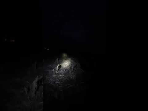 Olight Javelot Vs Streamlight Stinger Review for Law Enforcement Search And Rescue Light Olight Javelot Vs Streamlight Stinger Review for Law Enforcement Search And Rescue Light