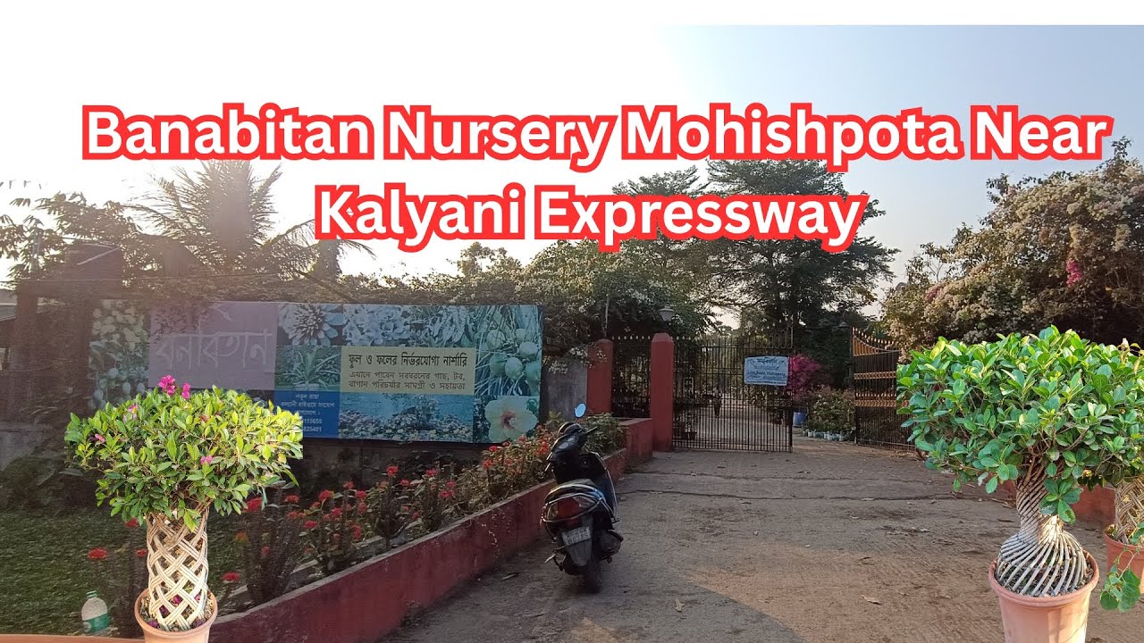 Banabitan Nursery Mohispota Sodepur | Rare Cactus, Bonsai & Indoor Plants Tour | Kalyani Expressway