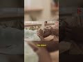 Bangladesh measles crisis right now