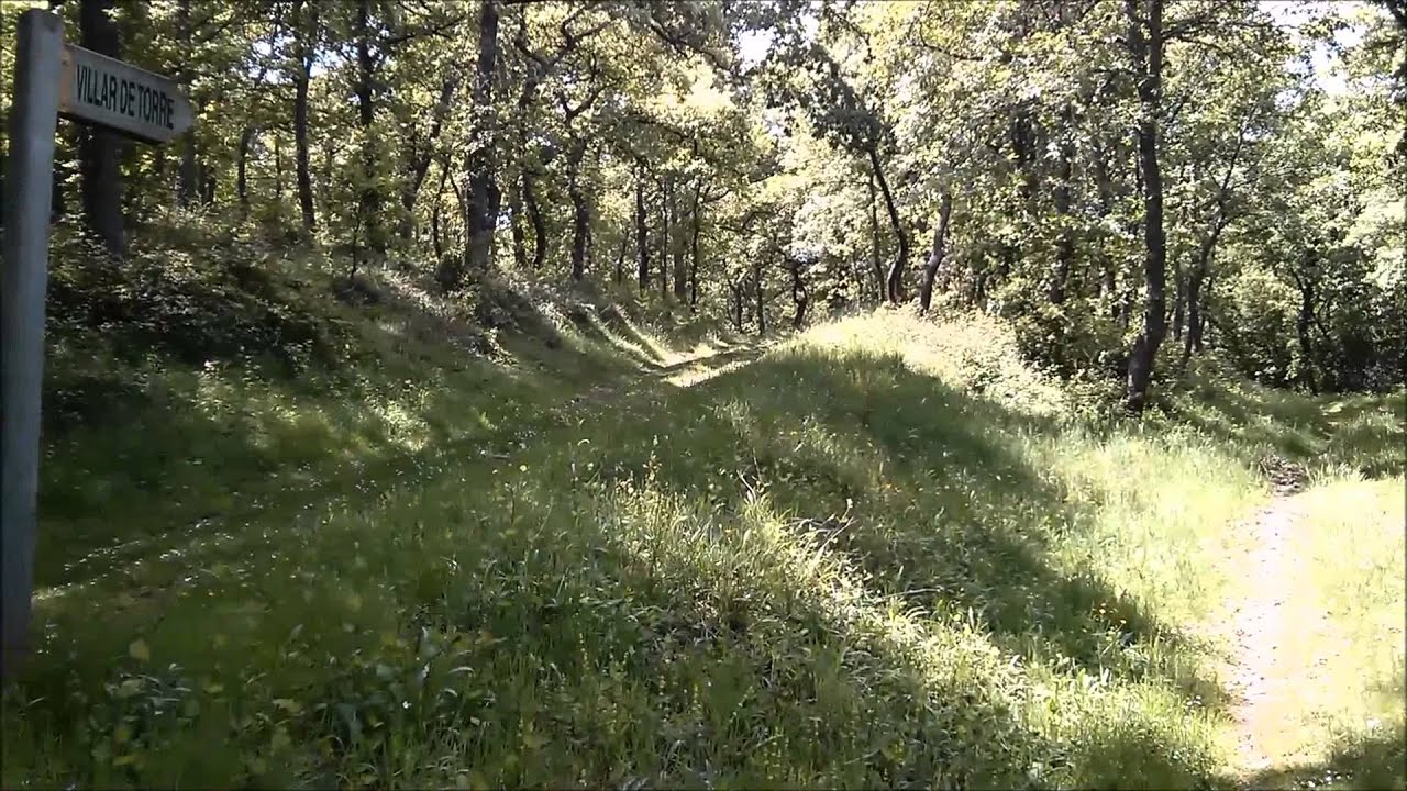 Camino de San Millán a Villar de Torre | Rutas de senderismo en La Rioja