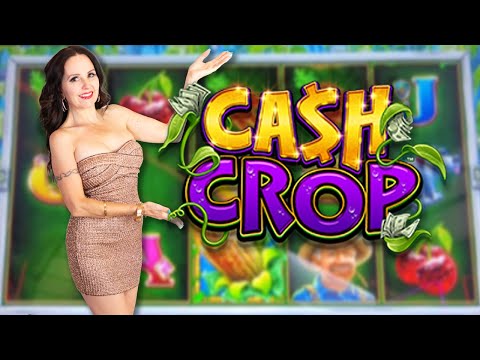 Kirjaudu Slotbunnyyn sivustolle pelata kasinoa verkossa