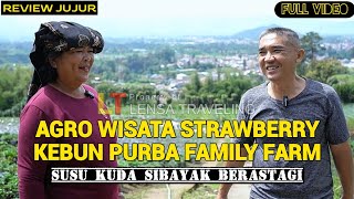 Kebun Strawberry Purba Family, Agrowisata di BERASTAGI Karo.