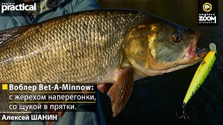 Воблер BetAMinnow: c жерехом наперегонки, со щукой в прятки. Алексей Шанин. Anglers Practical.