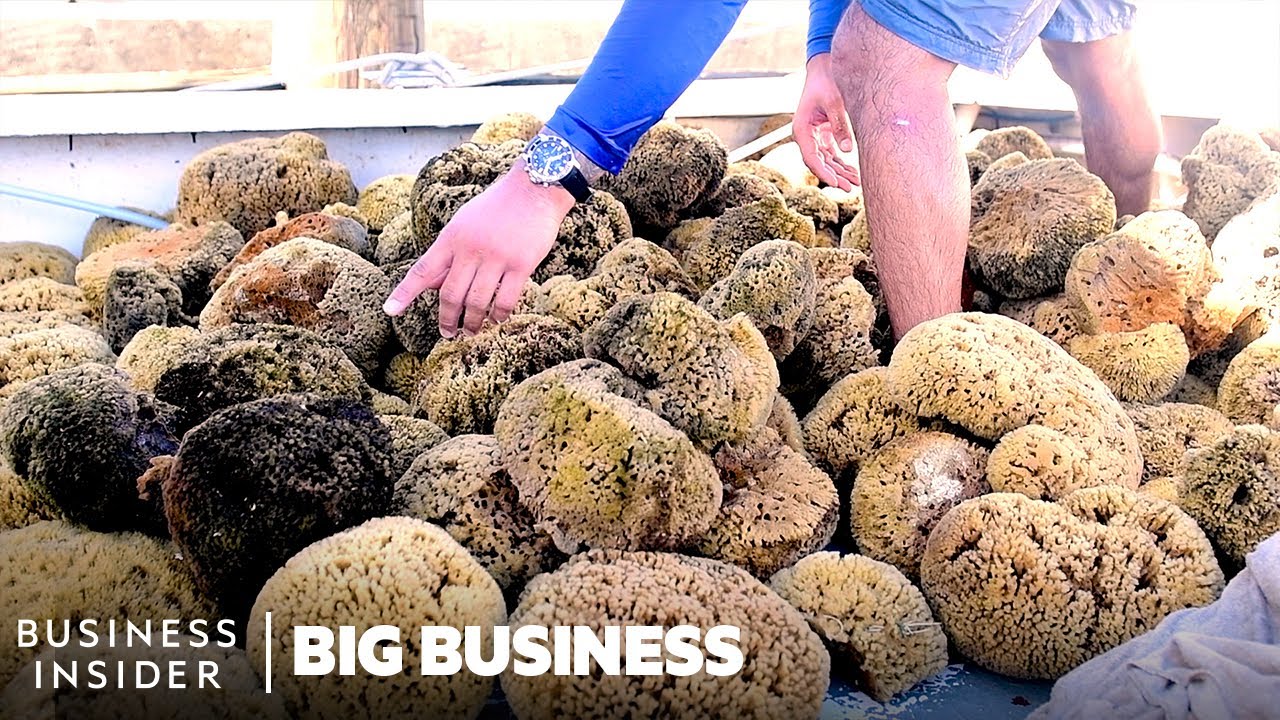 ⁣How This Florida Town Became The Sea Sponge Capital Of The World | Big Business | Business Insider