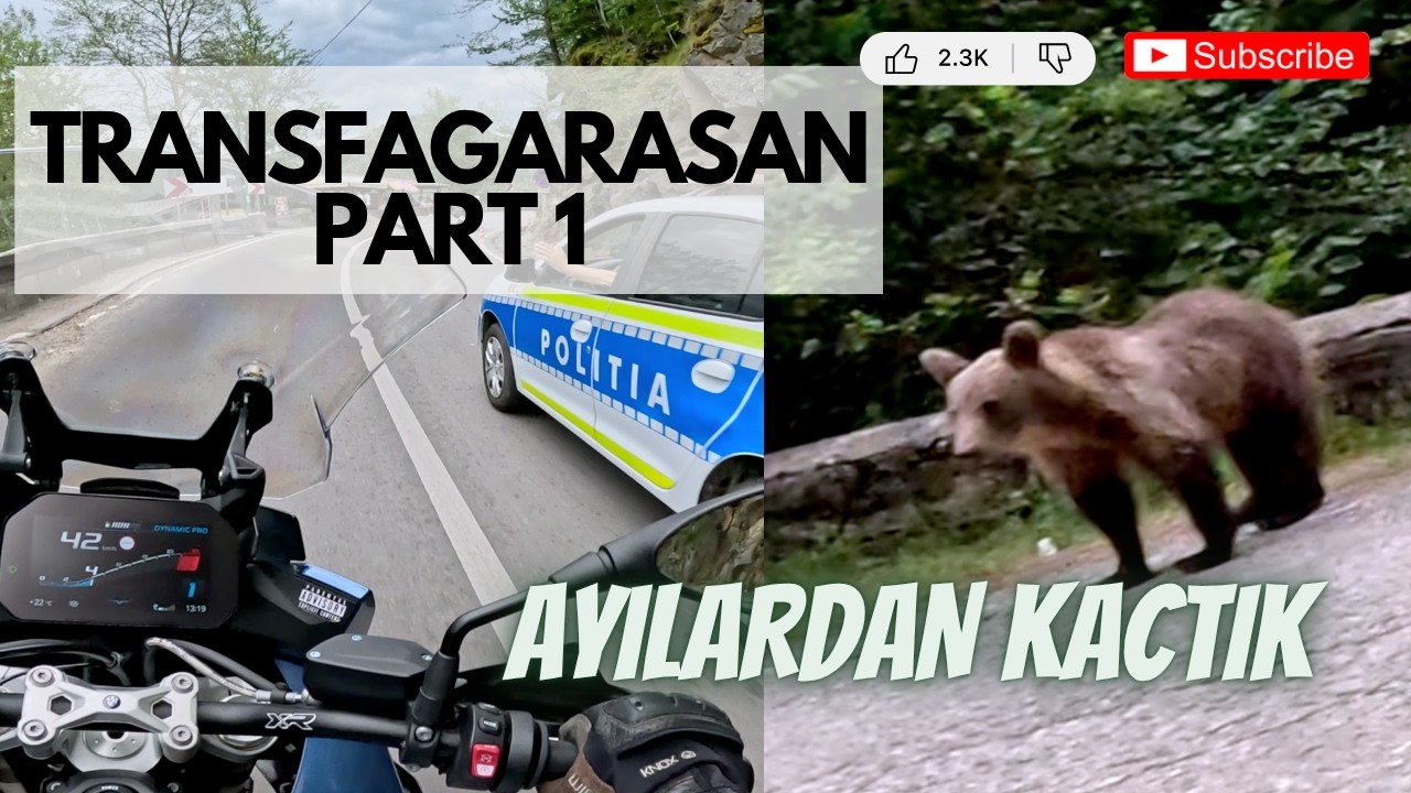 Avrupa'nın En Vahşi Yolu: Transfagarasan'da 6 Ayıyla Karşılaştık! (Motosikletle Geçiş – 1. Bölüm)
