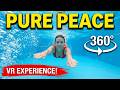This Is What Peaceful Underwater Swimming Looks Like  [VR 360 VIDEO]