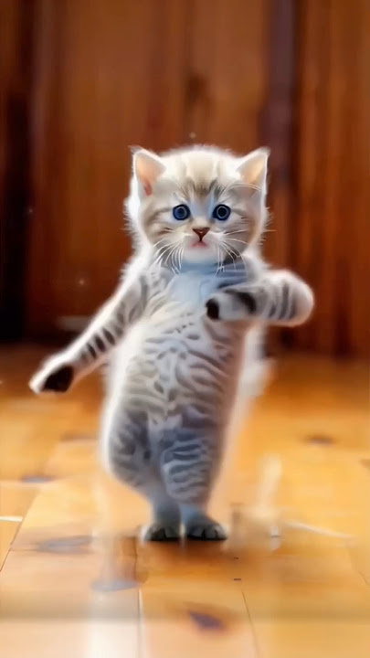 Teng Tenge Cat dance 🐈😺#shorts #ai #cute #cat #viralcat #tenge #trendingshorts  @WORLDTECHWINDOW