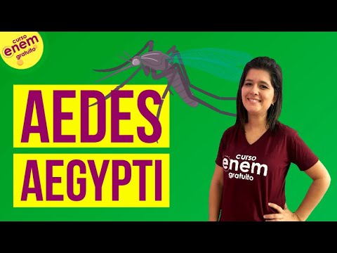 Vídeo: Inseticida Ingerido Para Controlar O Aedes Aegypti: Desenvolvimento De Um Novo Dispositivo Atraente Para Isca De Açúcar Tóxico E Seco Para Controle Intra-domiciliar