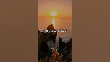 وَإِذَا سَمِعُوا مَا أُنزِلَ إِلَى الرَّسُولِ || سورة المائدة || علي جابر