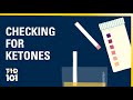 U-M Type 1 Diabetes 101 | Module 2 | Checking for Ketones