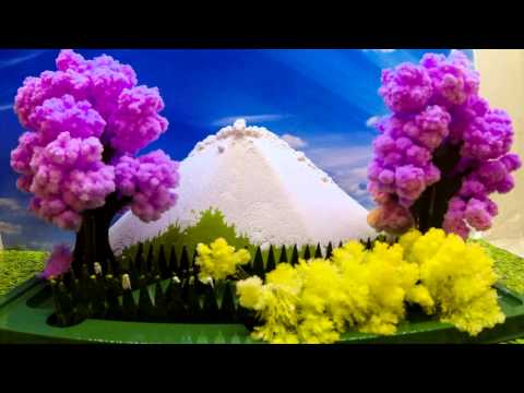 Magic Garden Theme