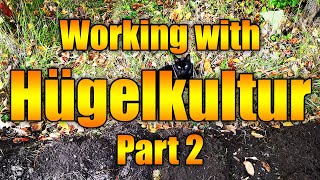 Progress Update: Trees Ordered! | Working with Hugelkultur #2