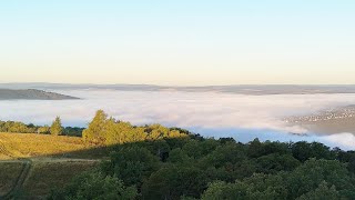 видео: Иду на каменную берлогу, кто там поселился?  картинка: Иду на каменную берлогу, кто там поселился?